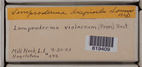 Image Associated With the Occurence